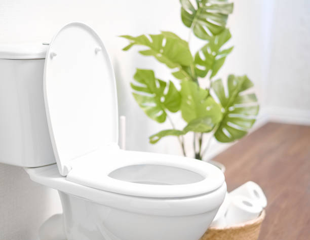 Water Closets/Toilet Bowls