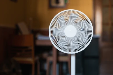 Standing Fans