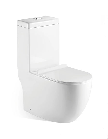 VASILE V-598 Rimless One-Piece Water Closet