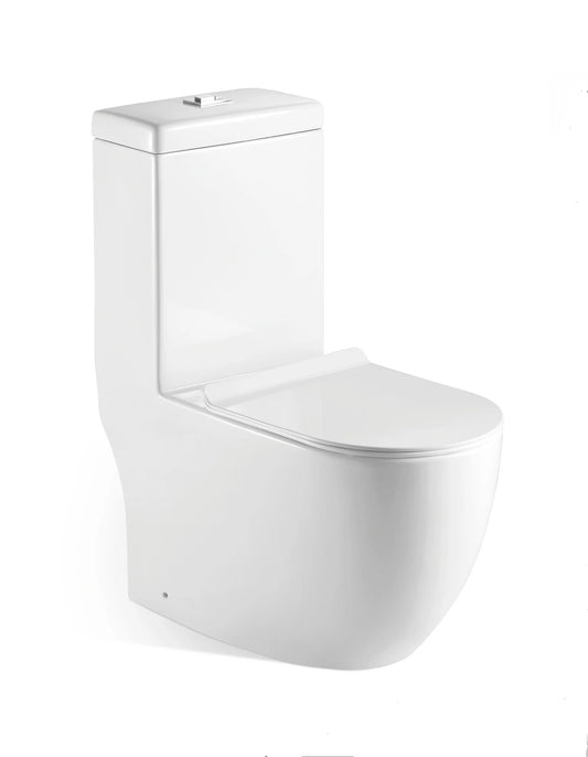 VASILE V-598 Rimless One-Piece Water Closet